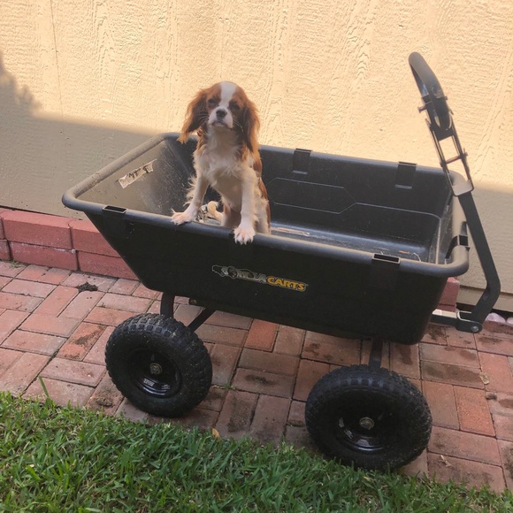 Meet your Posher, Cindy - Picture 9 of 10